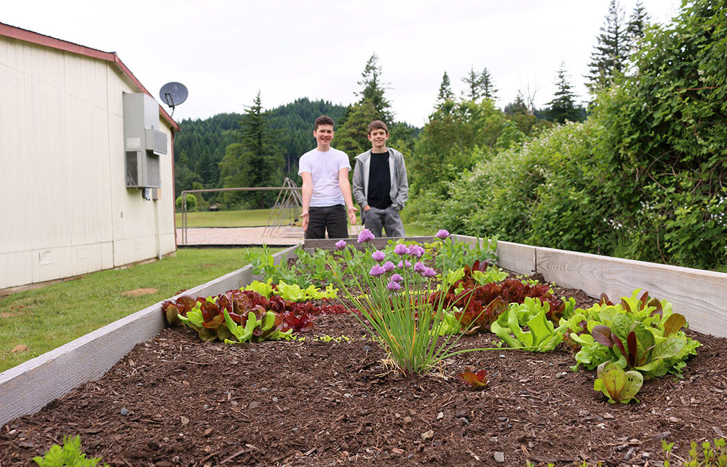 Garden brings life lessons, fun and funds to school